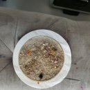 중앙동물약품 | 진해 소파청소 후기 얼룩 많고 냄새 심한 패브릭 소파, 다시 살렸습니다!