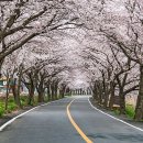 주산초교 이미지