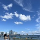 🌊24년 8월의 부산
