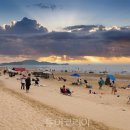 방아머리로 이미지