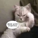 대박부동산 | [동대문] 시운사주&amp;타로 동대문사주 전화사주 잘보는 곳 위치, 가격 놀랐던 후기