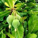 태평양광택 이미지