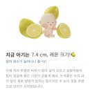 버거베이 이미지