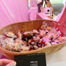 강남 속눈썹펌 맛집 | 이화뷰티랩 무쌍도 또렷해지는 J컬 속눈썹펌 솔직 후기