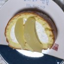 복사나무 이미지