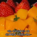 카페로에르츠 이미지