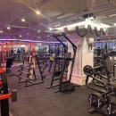 머슬 라운지 이미지