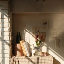 본 (BORN)95 이미지