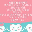 인셀덤 일산