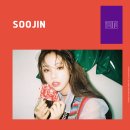 수진스포츠 이미지