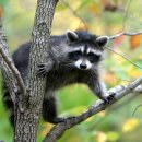 노인심리상담사 이미지