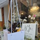 녹색플라워 | 잠원동 꽃집 나무수 플라워앤가든 신혼집 식물 인테리어 멜라니 고무나무 후기