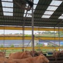 도담축사 이미지