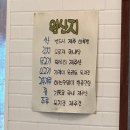 돈내코삼남매