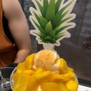 설빙양양쏠비치점