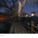 홍남표축사 | 함안서 가야고분군 세계유산 등재기념식 개최