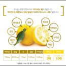 맑고밝고따뜻한협동조합 이미지