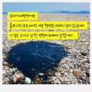 위젤라 이미지