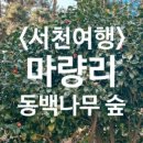 커피지맨 이미지