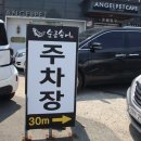 춘천 송어회 맛집 &#39;순금송어&#39; 방문 후기