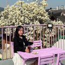 수원 매교동 카페 [카페서주] :: 공주들의 티타임은 여기! 🎀🩷