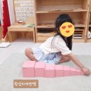 분홍탑
