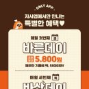 바삭이치킨 이미지