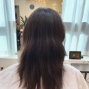 라비쏘헤어 이미지