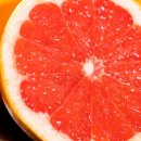 안의상회 이미지