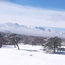 은빛축산 이미지