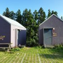 춤추는달 이미지