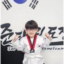 인성태권스쿨 이미지