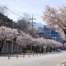 떡세권