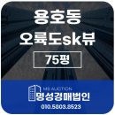 오륙도SK뷰부동산중개사무소 | 용호동 오륙도 sk뷰 75평 경매정보