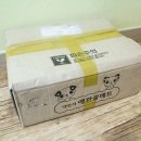 오교대 반석 | 해성스톤 맥반석 고양이 쿨매트 후기 !