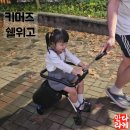 이손마트 | 트라이크캐리어 내돈내산 3주동안 고심하고 산 이유