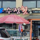 고흥횟집 이미지