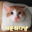 리오동물병원 이미지