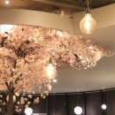 설빙고창점 이미지