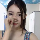 테라모토 이미지