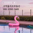 사다 | 두심스독도해물알찜 고덕점에서 알곤이찜 직접 사다먹은 후기