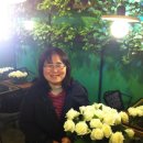 일본어 원어민 프리토킹 이미지