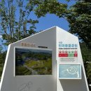7231 | 대전 반려동물공원 무료 수영장 이용 후기
