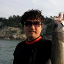 천운1호 이미지