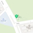 사파동155 이미지