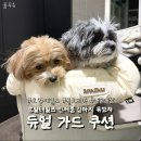 로얄세탁 | [내돈내산] 로얄테일즈 글로리아 악세사리 신제품 후기_솔직후기_강아지 유모차 듀얼가드쿠션