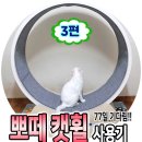 뽀떼 캣휠 고양이말고 다람쥐인줄,,캣휠 잘타는 고먐미(3탄)