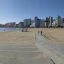 생선회 특화지역 이미지