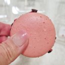 맛카롱 | 우유 vs 딸기 vs 초코, 빽다방 맛카롱 뭐가 제일 맛있을까?