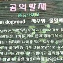 선흘림 이미지